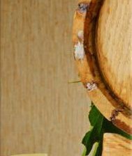 Cross stitch pattern: #1059643