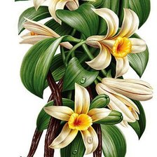 Cross stitch pattern: #1060301