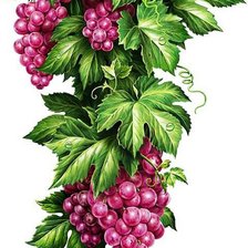 Cross stitch pattern: #1060306