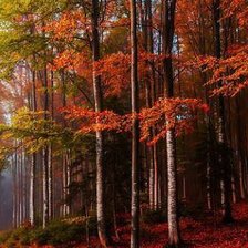 Cross stitch pattern: #1061907