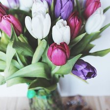 Cross stitch pattern: #1062519