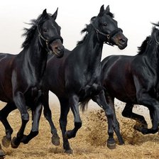 Cross stitch pattern: #1063297