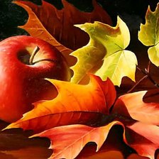 Cross stitch pattern: #1065066