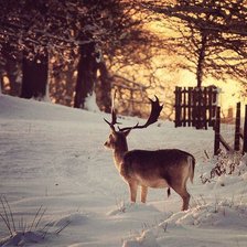 Cross stitch pattern: #1068332