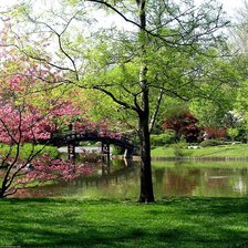 Cross stitch pattern: #1068963