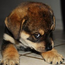 Cross stitch pattern: #1071711