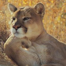 Cross stitch pattern: #1071712