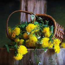 Cross stitch pattern: #1071860