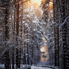 Cross stitch pattern: #1076891