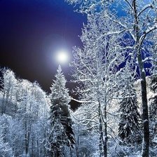 Cross stitch pattern: #1077074