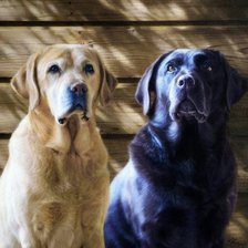 Cross stitch pattern: #1078150