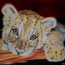 Cross stitch pattern: #1078504