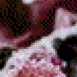 Preview of cross stitch pattern: #1079011