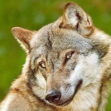 Cross stitch pattern: #1083024