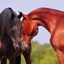 Cross stitch pattern: #1083733