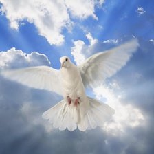 Cross stitch pattern: #1083830