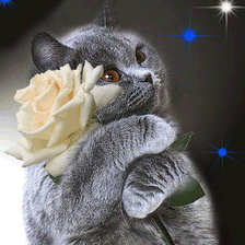 Cross stitch pattern: #1084405