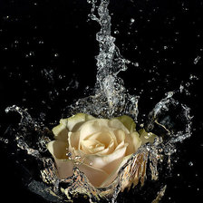 Cross stitch pattern: #1084426