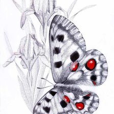 Cross stitch pattern: #1084466