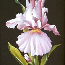 Cross stitch pattern: #1086141