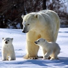 Cross stitch pattern: #1088645