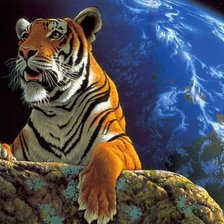 Cross stitch pattern: #1095891