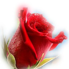 Cross stitch pattern: #1099275
