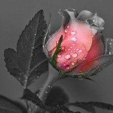 Cross stitch pattern: #1099276