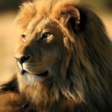 Cross stitch pattern: #1107517