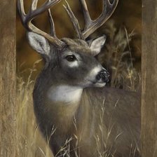 Cross stitch pattern: #1109158