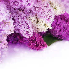 Cross stitch pattern: #1114830