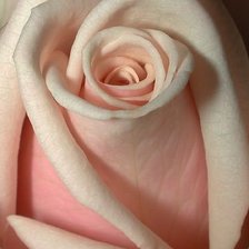 Cross stitch pattern: #1115406