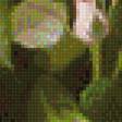 Preview of cross stitch pattern: #1117798