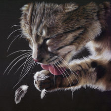 Cross stitch pattern: #1118346