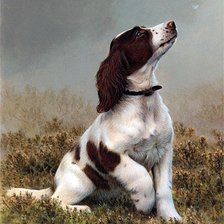 Cross stitch pattern: #1118347