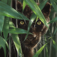 Cross stitch pattern: #1118372