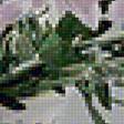 Preview of cross stitch pattern: #1119383
