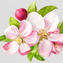 Cross stitch pattern: #1120723