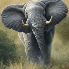 Cross stitch pattern: #1126958