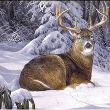 Cross stitch pattern: #1127028