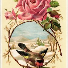 Cross stitch pattern: #1127869