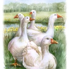 Cross stitch pattern: #1128368