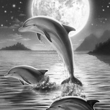 Cross stitch pattern: #1128374