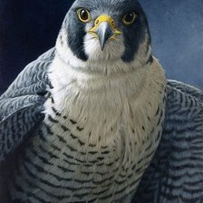 Cross stitch pattern: #1128377