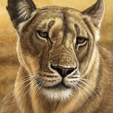 Cross stitch pattern: #1128394