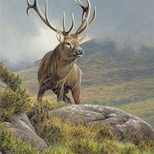 Cross stitch pattern: #1128415