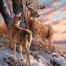 Cross stitch pattern: #1128579