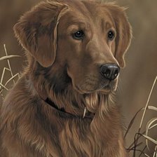 Cross stitch pattern: #1129040