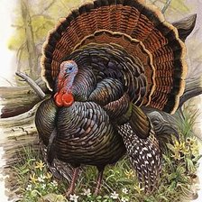 Cross stitch pattern: #1129100