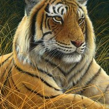 Cross stitch pattern: #1129172